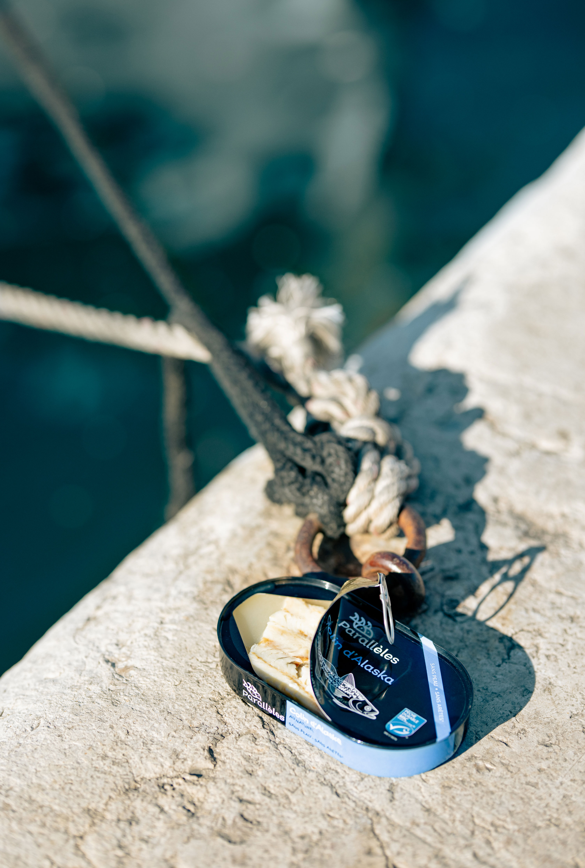 Conserve colin Alaska MSC naturel